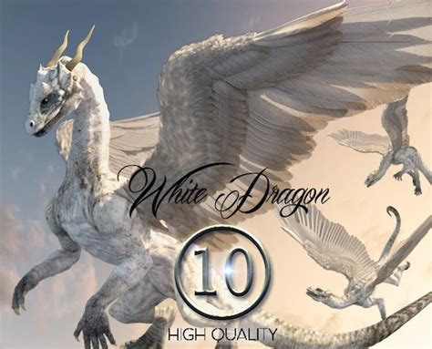 10 PNG White Dragon Dragon Clipart Feathered Dragon - Etsy Canada