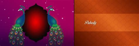 Karizma Album Backgrounds Free Download | 12X36 PSD Background