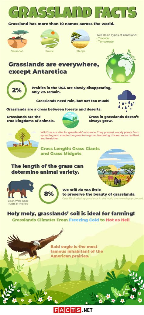 Tropical Grassland Biome Animals And Plants