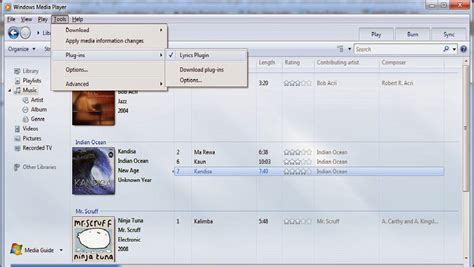 Display Song Lyrics in Windows Media Player