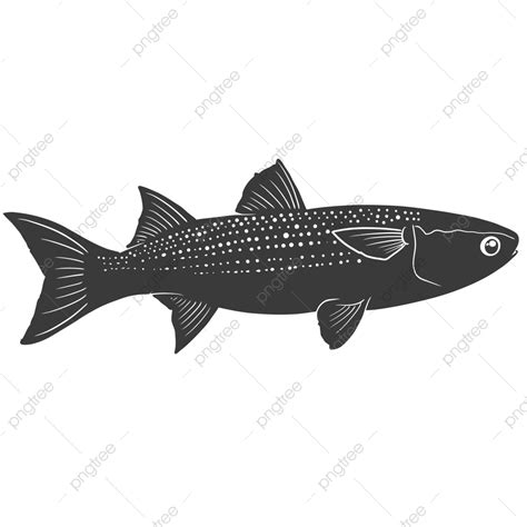 Mullet Fish Vector PNG, Vector, PSD, and Clipart With Transparent Background for Free Download ...