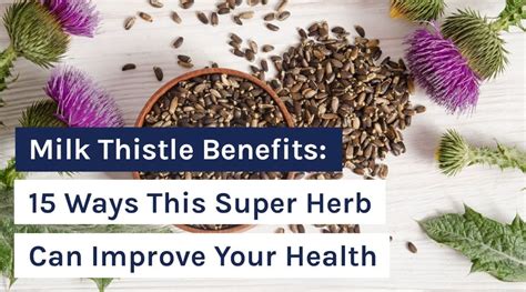 Milk Thistle Benefits: 15 Ways This Super Herb Can Improve Your Health – Organixx