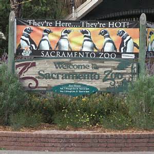 Sacramento Zoo, Sacramento, CA - California Beaches