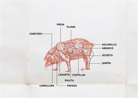 Types of Iberico Pork Cuts – Campo Grande