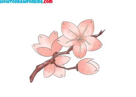 How to Draw a Cherry Blossom - Easy Drawing Tutorial For Kids