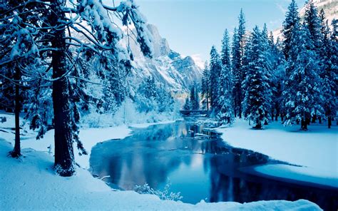 nature, Trees, Snow, Mountain Wallpapers HD / Desktop and Mobile Backgrounds