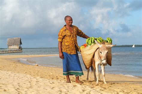 Lamu Archipelago Destination Guide - Kenyan Safari's