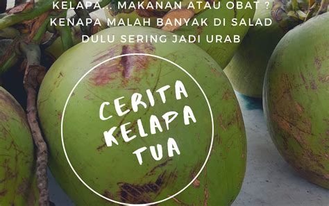 Cerita Kelapa Tua