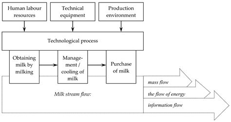 Cow Milk Production Process