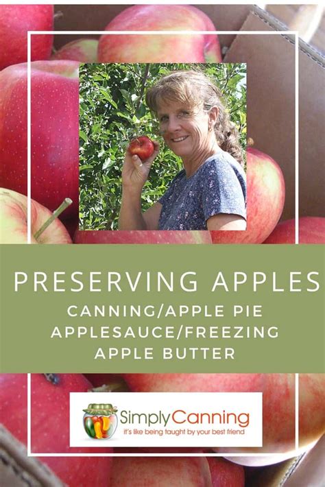 Preserving apples: Your one-stop page for multiple methods.