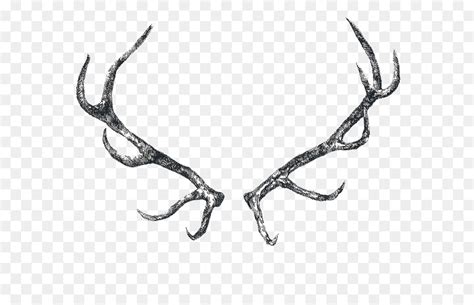 Elk Antler Drawing at PaintingValley.com | Explore collection of Elk ...