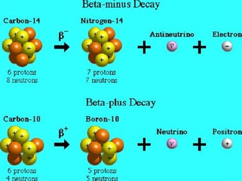 5 Beta Decay Examples in Real Life – StudiousGuy