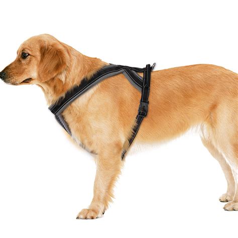 Dog Harness with Handle on Top for Large Dogs