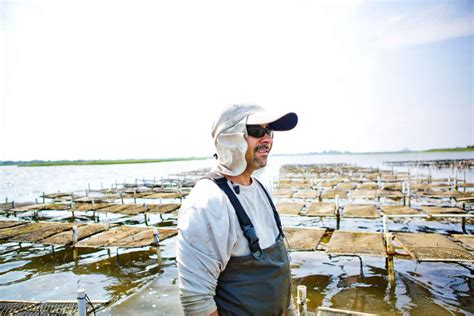 Oyster Farming: Everything You Need to Know