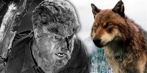 The Best Werewolf Movies and Where to Watch Them