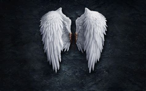 Wings Wallpapers - Top Free Wings Backgrounds - WallpaperAccess