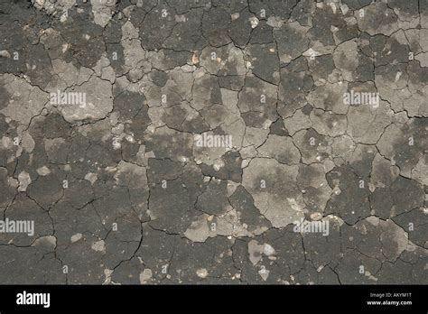 Cracky loamy soil Stock Photo - Alamy