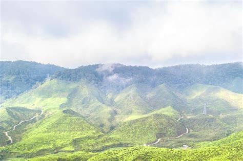 Cameron Highlands Weather | Trip Guide