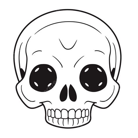 Skull Drawing On A White Background Outline Sketch Vector, Skull Drawing, Wing Drawing, Skull ...