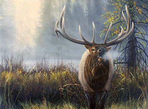 Mark Slawson » North American Big Game – Elk Painting