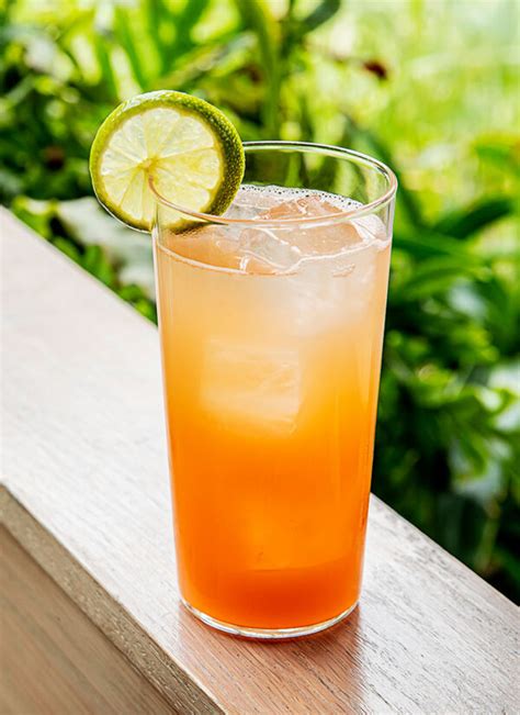 Lemon-Lime & Bitters Cocktail Recipe | PUNCH