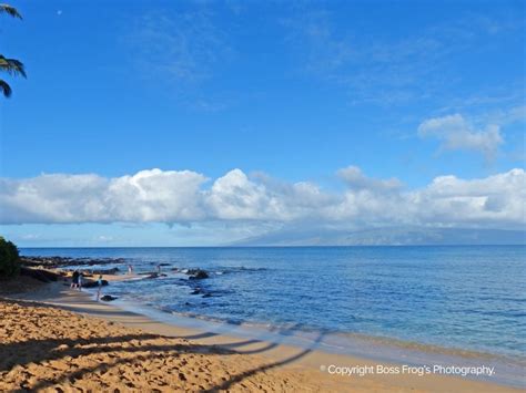 Napili Bay Snorkel Guide | Boss Frog's Hawaii