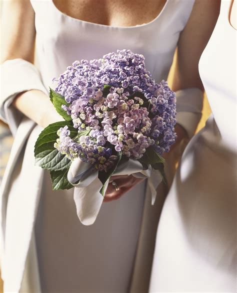 12 Summer Wedding Flowers in Season