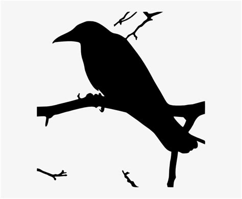 Raven Silhouette Png For Kids - Raven Clipart Public Domain PNG Image | Transparent PNG Free ...