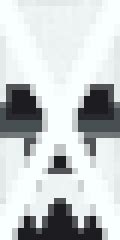 Skull Banner Minecraft Banner