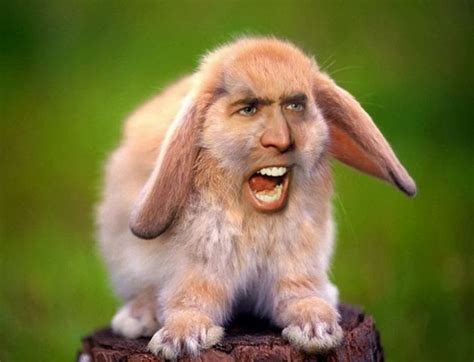 Hilarious Meme of Nicholas Cage Photoshopped as Other People