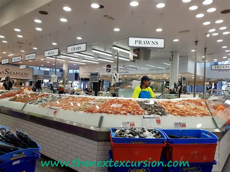 Visiting the Sydney Fish Market – The Next Excursion