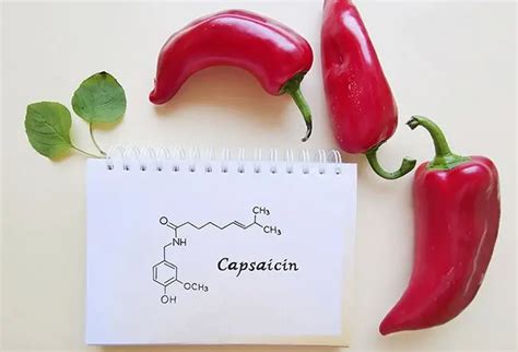 Do Capsaicin Pills Work for Weight Loss? 3 Supplement Benefits