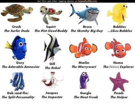 Finding Nemo Characters | Finding nemo characters, Finding nemo movie, Nemo movie