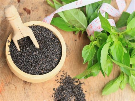 10 Amazing Basil Seeds Health Benefits, Uses & Side Effects | Organic Facts