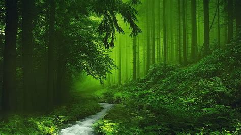 Nature-inspired Wallpaper 4k green nature for stunning wallpapers