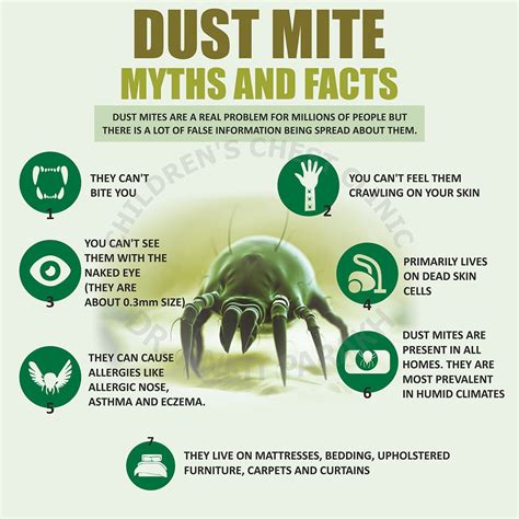 Do I Have Dust Mites