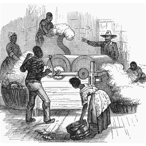 The Relationship Between Slavery & Cotton | Synonym