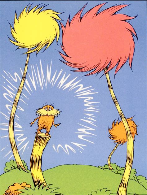 Picture Of The Lorax Book Cover - 3DBookCover