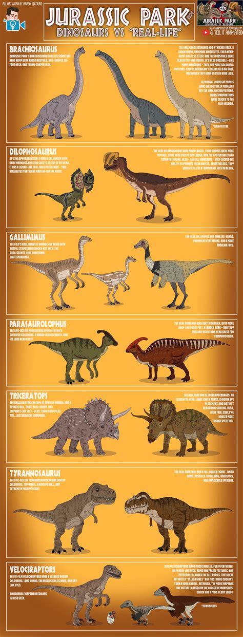 Jurassic Park (1993) Dinosaurs Vs. "Real-Life" Illustrated Infographic : r/JurassicPark