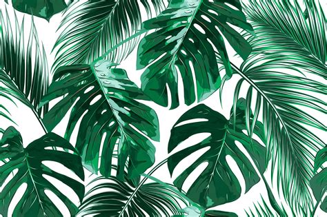 Monstera Leaves Removable Wallpaper Mural Peel & Stick - Etsy | Palm trees wallpaper, Tree ...