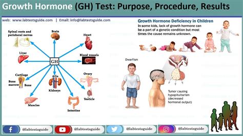 Growth Hormone Chart