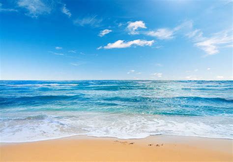 MME Beach Photography Backdrops Sea Blue Sky Background Polyester 10X7ft Summer Photo Background ...