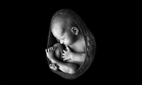 Newborn Baby Photography Black And White - Baby Viewer