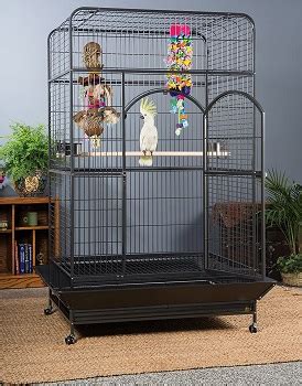 Best 6 Large Macaw Cages All Your Bird Pets Will Love In 2022