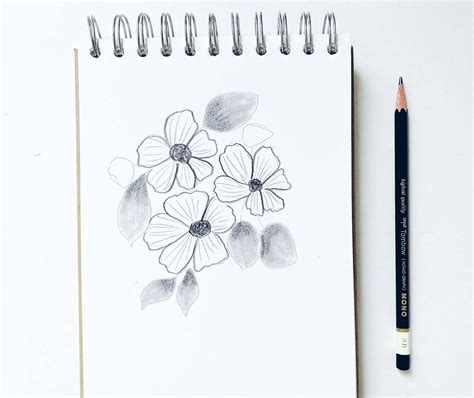 Pencil Shading Tips for Easily Sketching Flowers - Tombow USA Blog