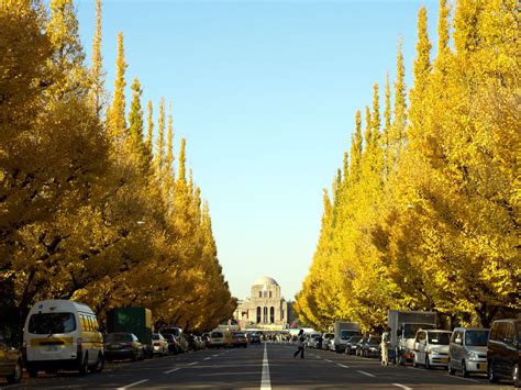 8 Autumn Scenery You Can Find in Tokyo | tsunagu Japan