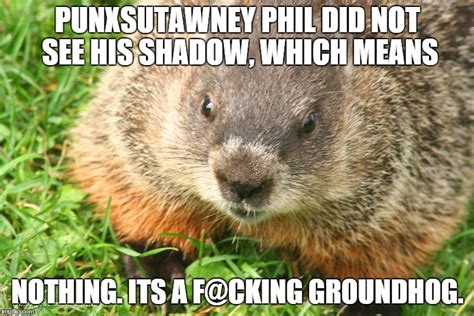 Punxsutawney Phil Groundhog Day 2024 Meme - Wendy Joycelin