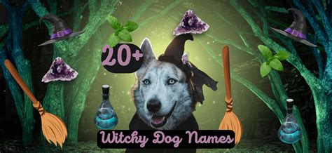 Witchy Dog Names: 20+ Magical Ideas for Your Pet