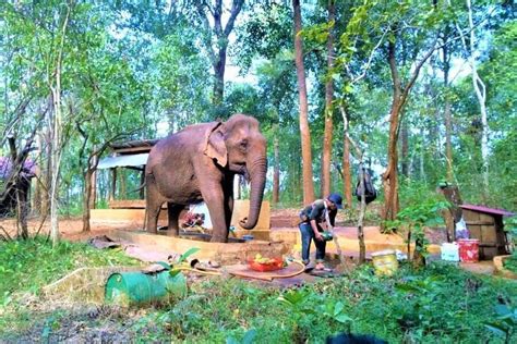 Mondulkiri - Known For Its Waterfalls, Elephant Sanctuaries, And Indigenous Culture - Cambodia Tours