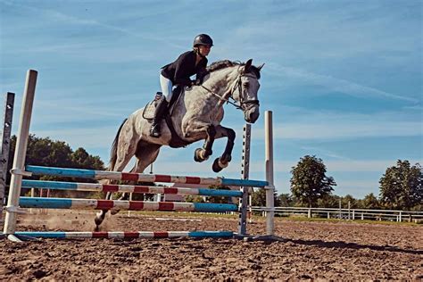 11 Different Horseback Riding Styles To Try